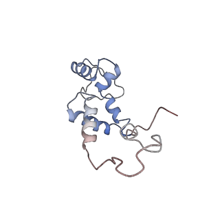 13477_7pkq_d_v1-0
Small subunit of the Chlamydomonas reinhardtii mitoribosome