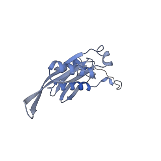 13477_7pkq_e_v1-0
Small subunit of the Chlamydomonas reinhardtii mitoribosome
