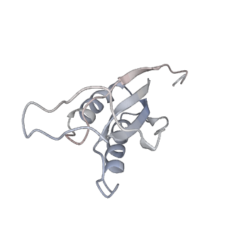 13477_7pkq_f_v1-0
Small subunit of the Chlamydomonas reinhardtii mitoribosome