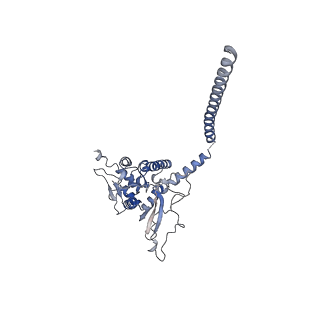 13477_7pkq_h_v1-0
Small subunit of the Chlamydomonas reinhardtii mitoribosome