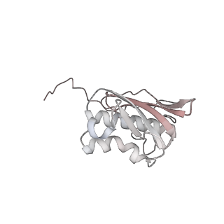 13477_7pkq_i_v1-0
Small subunit of the Chlamydomonas reinhardtii mitoribosome