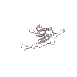 13477_7pkq_j_v1-0
Small subunit of the Chlamydomonas reinhardtii mitoribosome