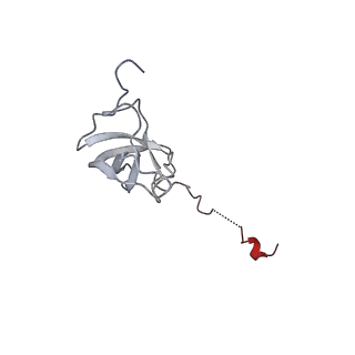 13477_7pkq_l_v1-0
Small subunit of the Chlamydomonas reinhardtii mitoribosome