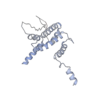 13477_7pkq_o_v1-0
Small subunit of the Chlamydomonas reinhardtii mitoribosome