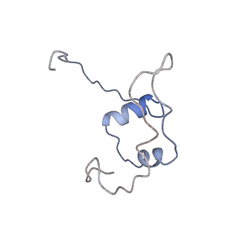 13477_7pkq_p_v1-0
Small subunit of the Chlamydomonas reinhardtii mitoribosome