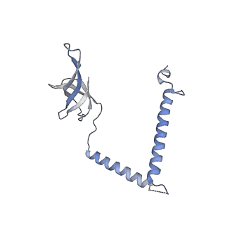 13477_7pkq_q_v1-0
Small subunit of the Chlamydomonas reinhardtii mitoribosome