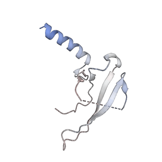 13477_7pkq_z_v1-0
Small subunit of the Chlamydomonas reinhardtii mitoribosome