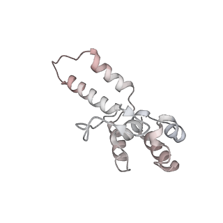 13479_7pks_D_v1-0
Structural basis of Integrator-mediated transcription regulation