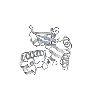 13479_7pks_E_v1-0
Structural basis of Integrator-mediated transcription regulation