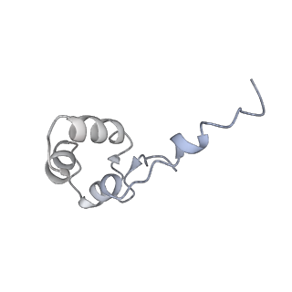 13479_7pks_J_v1-0
Structural basis of Integrator-mediated transcription regulation