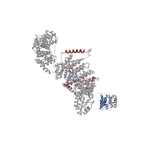 13479_7pks_a_v1-0
Structural basis of Integrator-mediated transcription regulation