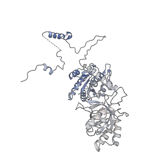 13479_7pks_f_v1-0
Structural basis of Integrator-mediated transcription regulation