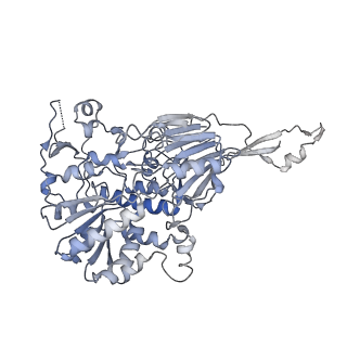 13479_7pks_i_v1-0
Structural basis of Integrator-mediated transcription regulation