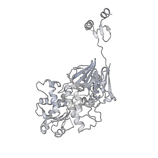 13479_7pks_k_v1-0
Structural basis of Integrator-mediated transcription regulation