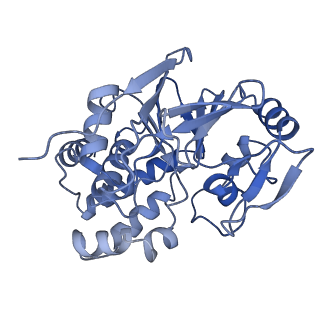 13479_7pks_q_v1-0
Structural basis of Integrator-mediated transcription regulation