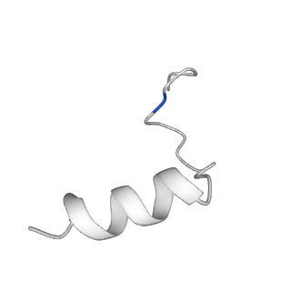 13479_7pks_u_v1-0
Structural basis of Integrator-mediated transcription regulation