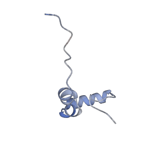 13480_7pkt_A_v1-0
Large subunit of the Chlamydomonas reinhardtii mitoribosome