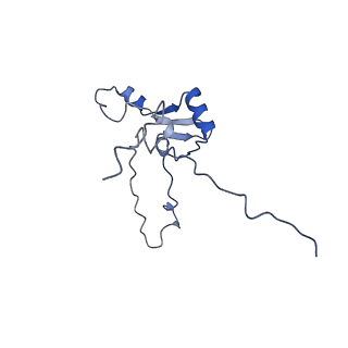 13480_7pkt_B_v1-0
Large subunit of the Chlamydomonas reinhardtii mitoribosome