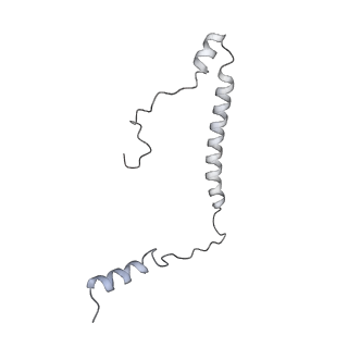 13480_7pkt_D_v1-0
Large subunit of the Chlamydomonas reinhardtii mitoribosome