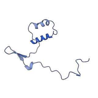 13480_7pkt_E_v1-0
Large subunit of the Chlamydomonas reinhardtii mitoribosome