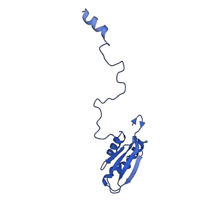 13480_7pkt_F_v1-0
Large subunit of the Chlamydomonas reinhardtii mitoribosome