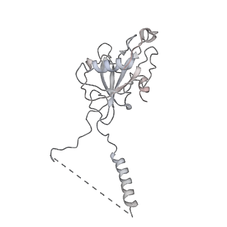 13480_7pkt_G_v1-0
Large subunit of the Chlamydomonas reinhardtii mitoribosome