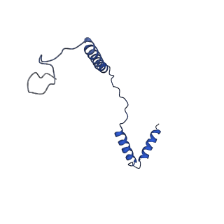 13480_7pkt_I_v1-0
Large subunit of the Chlamydomonas reinhardtii mitoribosome