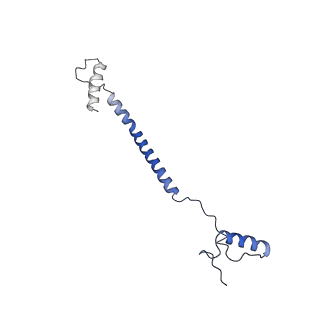 13480_7pkt_J_v1-0
Large subunit of the Chlamydomonas reinhardtii mitoribosome