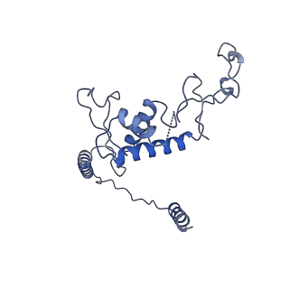 13480_7pkt_K_v1-0
Large subunit of the Chlamydomonas reinhardtii mitoribosome