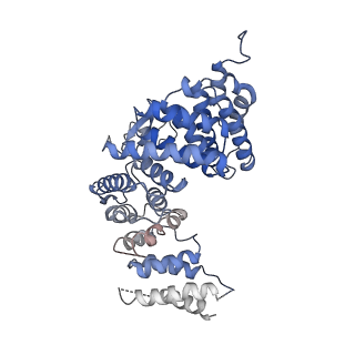 13480_7pkt_M_v1-0
Large subunit of the Chlamydomonas reinhardtii mitoribosome