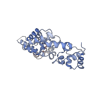 13480_7pkt_N_v1-0
Large subunit of the Chlamydomonas reinhardtii mitoribosome