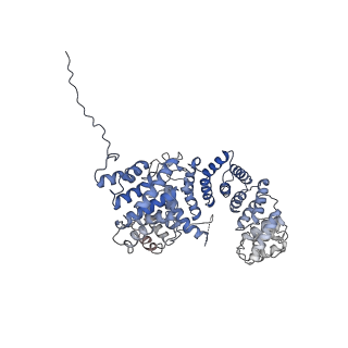 13480_7pkt_O_v1-0
Large subunit of the Chlamydomonas reinhardtii mitoribosome