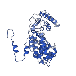 13480_7pkt_P_v1-0
Large subunit of the Chlamydomonas reinhardtii mitoribosome