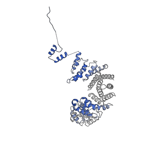 13480_7pkt_Q_v1-0
Large subunit of the Chlamydomonas reinhardtii mitoribosome