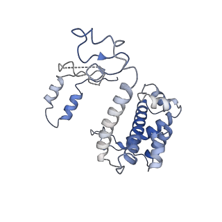 13480_7pkt_S_v1-0
Large subunit of the Chlamydomonas reinhardtii mitoribosome