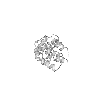 13480_7pkt_Y_v1-0
Large subunit of the Chlamydomonas reinhardtii mitoribosome