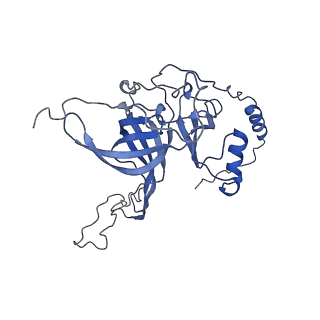 13480_7pkt_b_v1-0
Large subunit of the Chlamydomonas reinhardtii mitoribosome