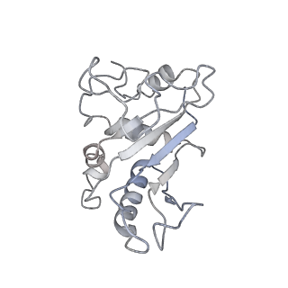 13480_7pkt_d_v1-0
Large subunit of the Chlamydomonas reinhardtii mitoribosome