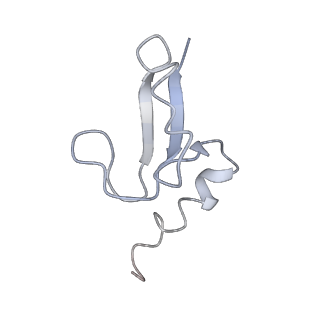 13480_7pkt_f_v1-0
Large subunit of the Chlamydomonas reinhardtii mitoribosome