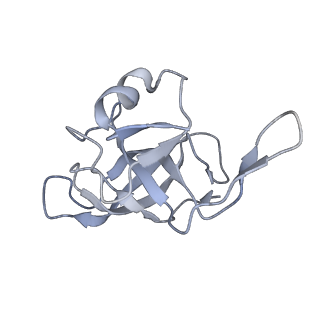 13480_7pkt_j_v1-0
Large subunit of the Chlamydomonas reinhardtii mitoribosome