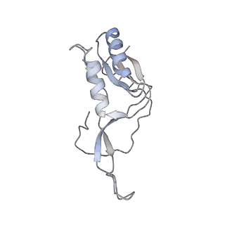 13480_7pkt_l_v1-0
Large subunit of the Chlamydomonas reinhardtii mitoribosome
