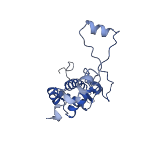 13480_7pkt_m_v1-0
Large subunit of the Chlamydomonas reinhardtii mitoribosome
