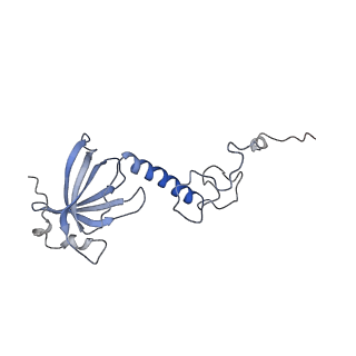 13480_7pkt_n_v1-0
Large subunit of the Chlamydomonas reinhardtii mitoribosome