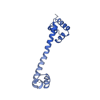 13480_7pkt_o_v1-0
Large subunit of the Chlamydomonas reinhardtii mitoribosome