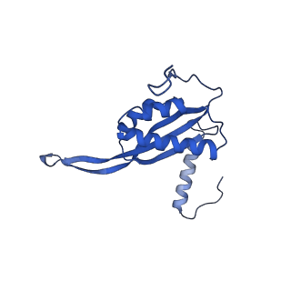 13480_7pkt_q_v1-0
Large subunit of the Chlamydomonas reinhardtii mitoribosome