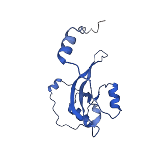 13480_7pkt_r_v1-0
Large subunit of the Chlamydomonas reinhardtii mitoribosome