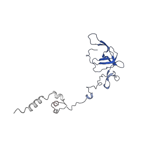 13480_7pkt_s_v1-0
Large subunit of the Chlamydomonas reinhardtii mitoribosome