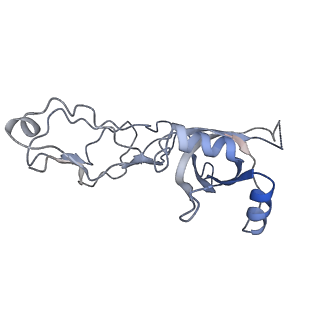 13480_7pkt_t_v1-0
Large subunit of the Chlamydomonas reinhardtii mitoribosome