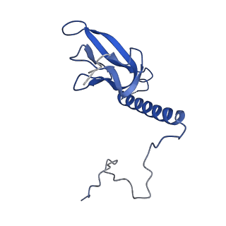 13480_7pkt_u_v1-0
Large subunit of the Chlamydomonas reinhardtii mitoribosome