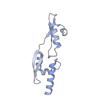 13480_7pkt_v_v1-0
Large subunit of the Chlamydomonas reinhardtii mitoribosome